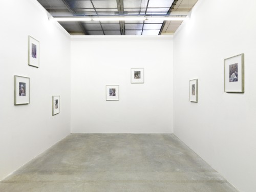 Mark Soo. Figures, Grounds series, 2009–11. Series of 24 archival ink-jet prints, each 50 x 65cm framed. Photograph: Roman März.